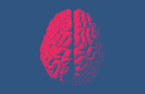 digital image of a brain